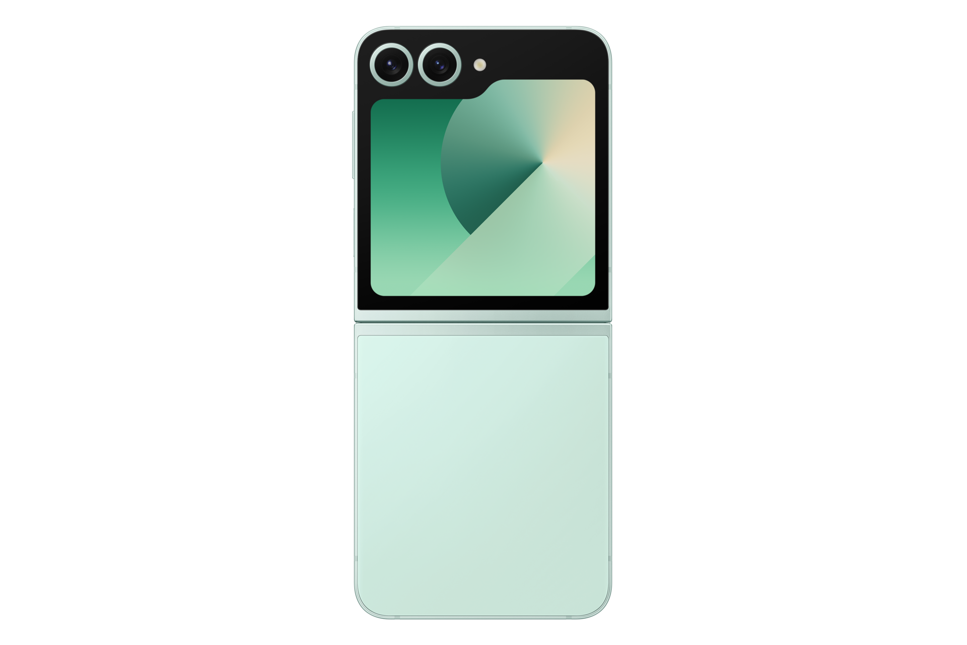 openback Mint