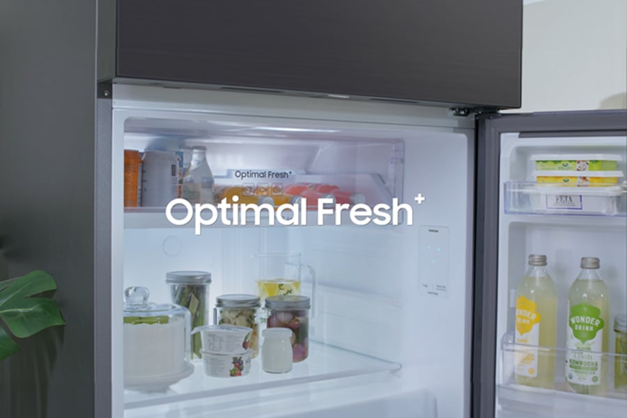 Optimal Fresh