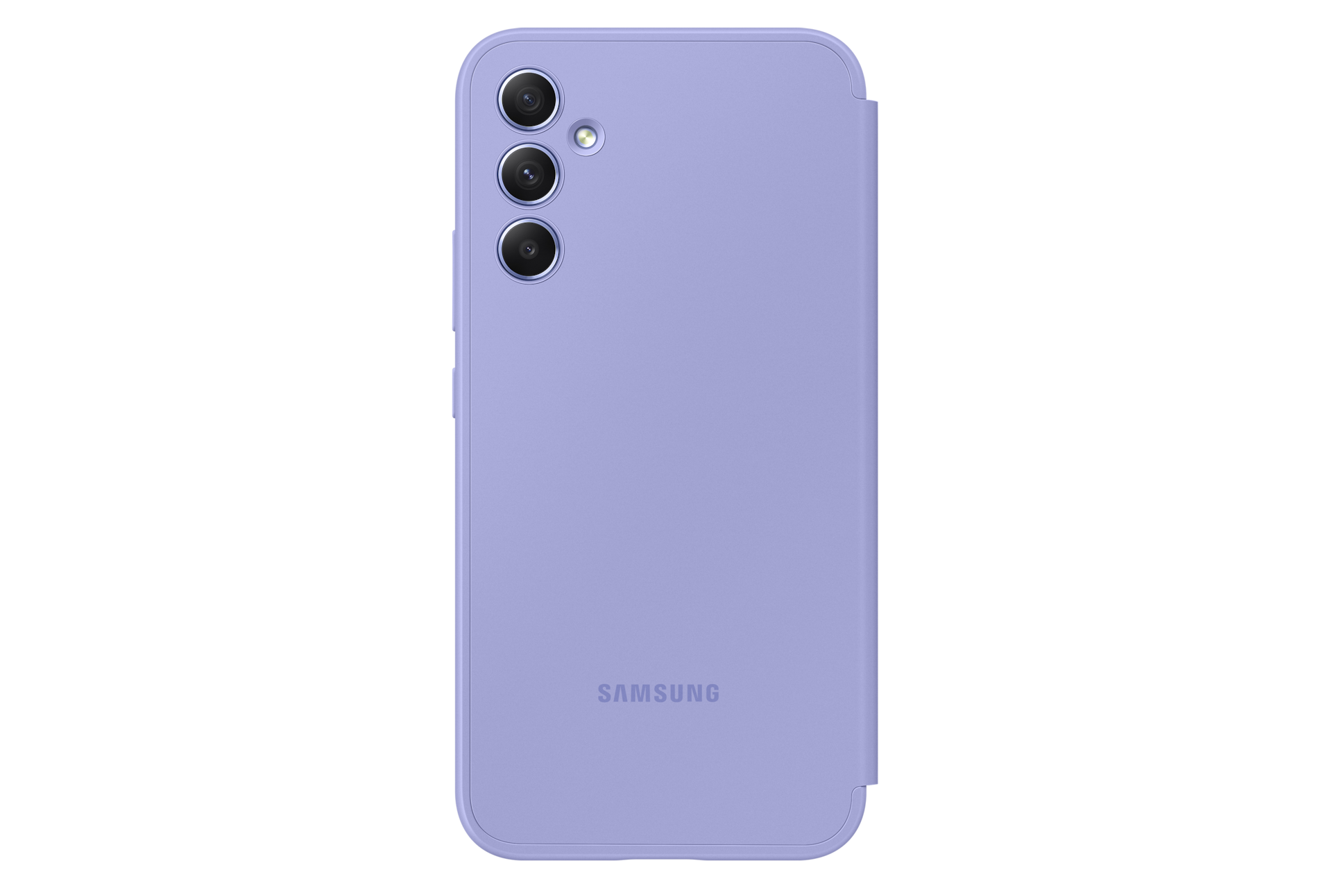 back Blueberry