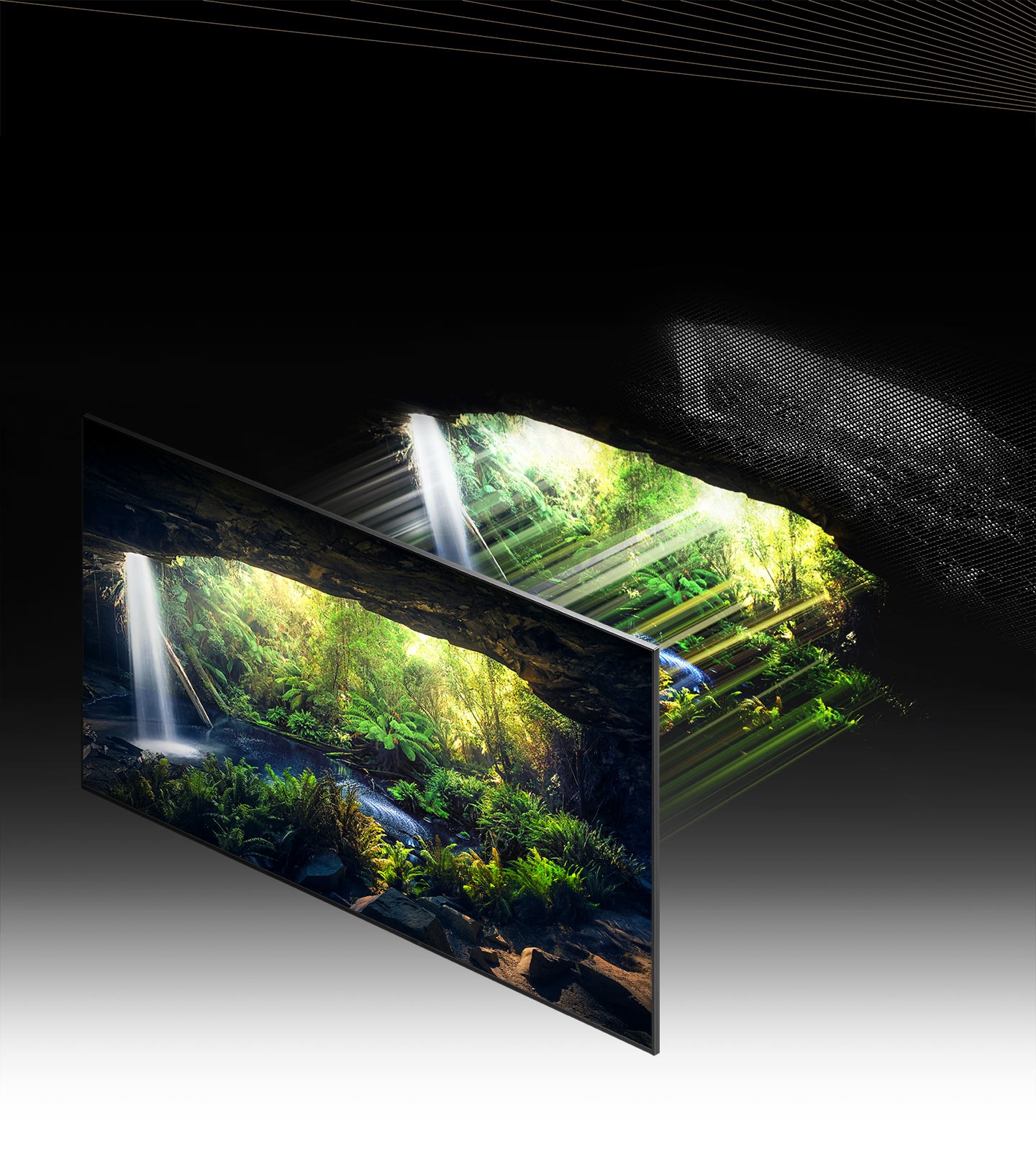 Dezvaluie cele mai fine detalii si un contrast uimitor in 8K