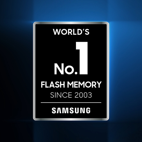 Brandul de memorie flash nr.1 din lume