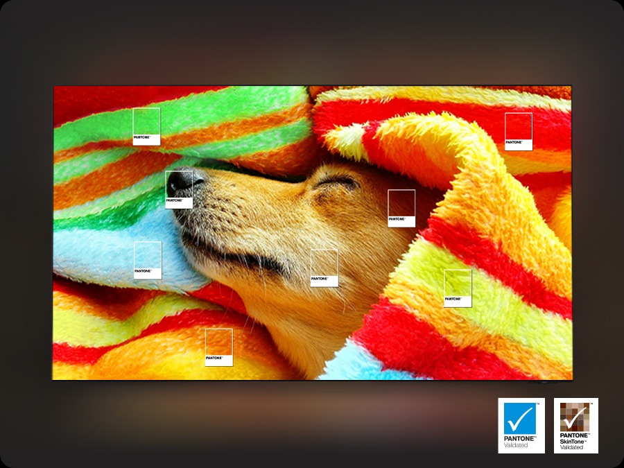 Un caine infasurat intr-o patura colorata este expus. Sigla validata PANTONE™. Sigla validata PANTONE SkinTone™.
