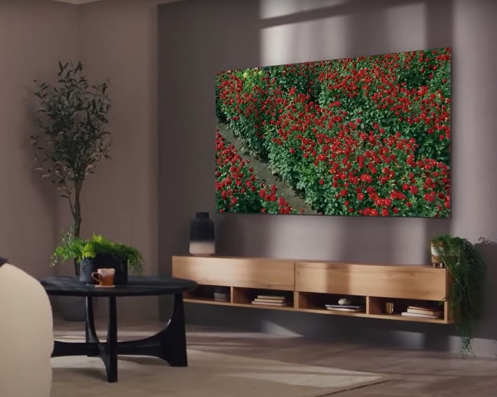 [QÉ65QÑ~900BTXX~H]