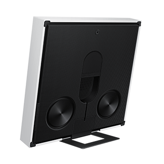 back-dynamic-with-stand White