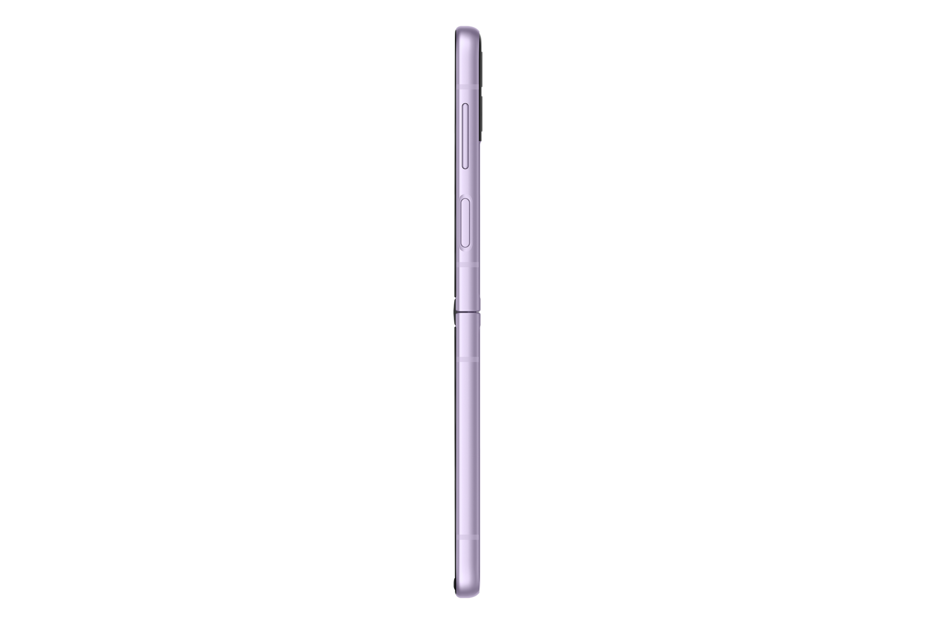 r-side Lavender