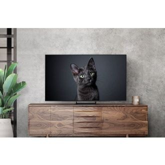 OLED izložen u dnevnoj sobi.