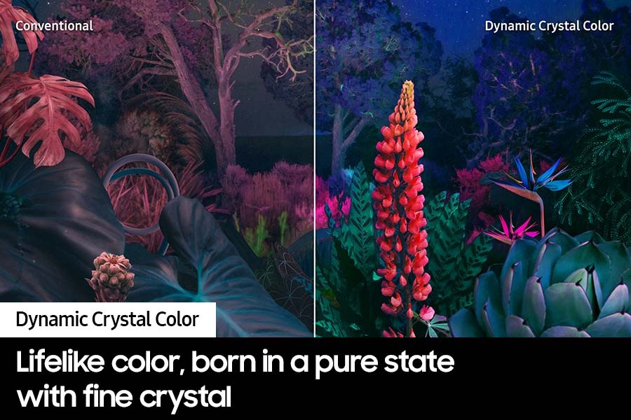 CU8000_Feature_Dynamic-Crystal-Color