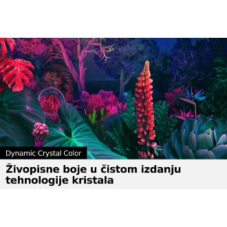 Crystal UHD TV BU8000 sa Dynamic Crystal Color može pružiti prikaz punog spektra boja