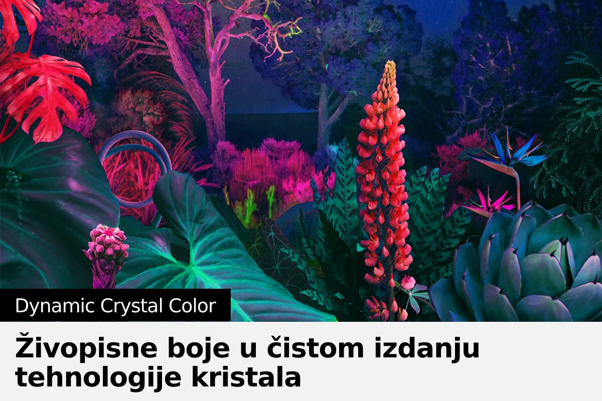 Crystal UHD TV BU8500 sa Dynamic Crystal Color može pružiti prikaz punog spektra boja