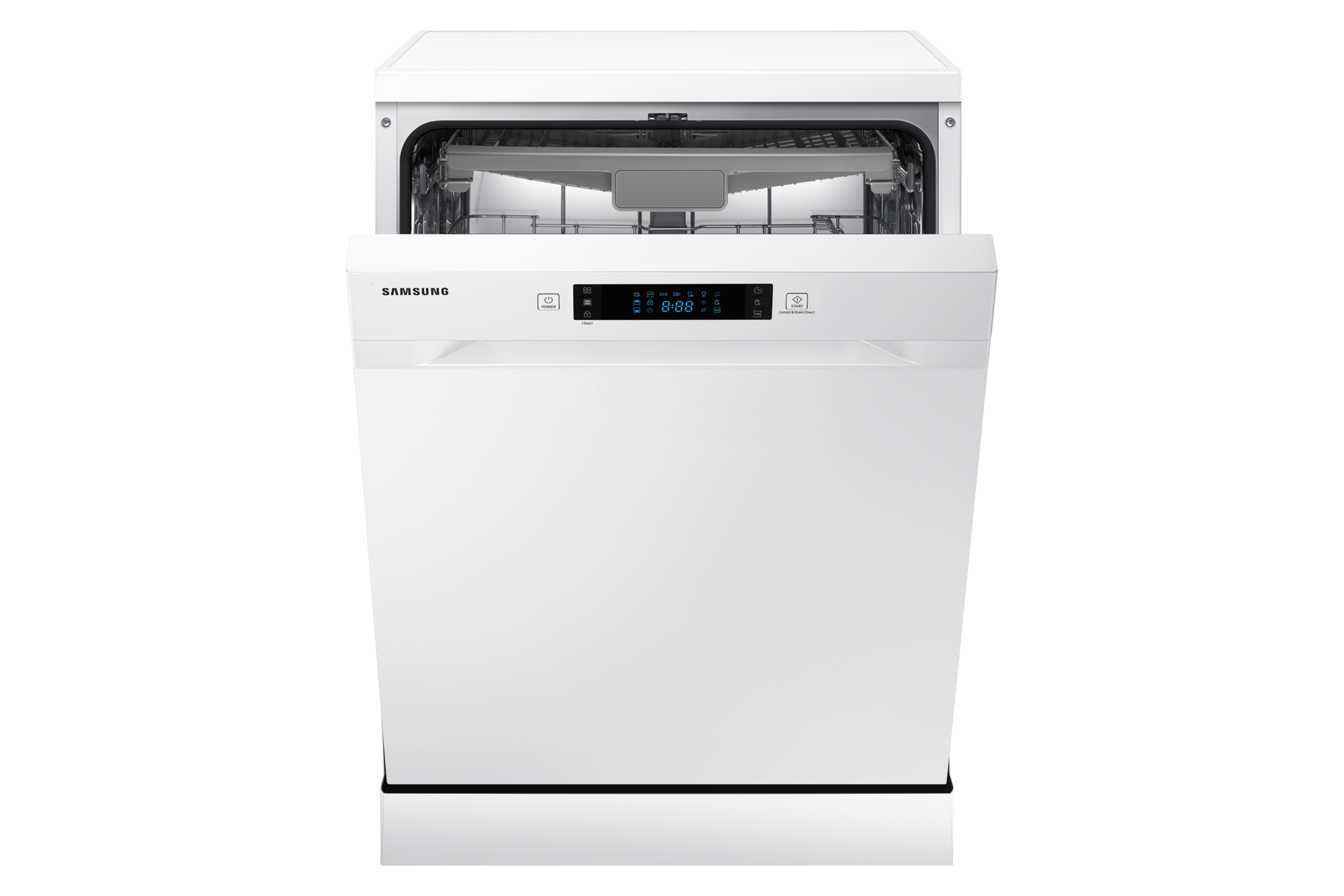 dynamic white