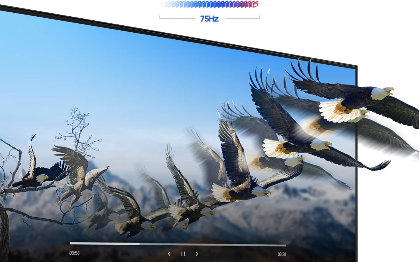 A bird is flying out of the monitor screen, which shows fluid picture delivery.
