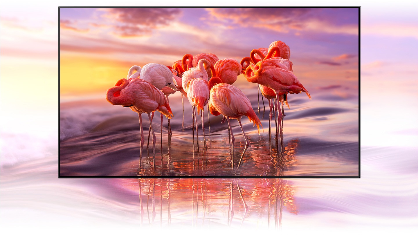 QLED TV displays an intricately colored image of flamingos to demonstrate color shading brilliance of Quantum Dot technology.