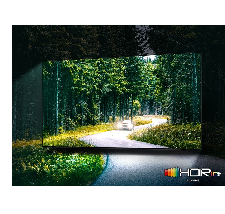 A car is running with lights on through the dense green forest on the TV screen. QLED TV shows accurate representation of bright and dark colors by catching small details.