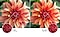 The flower image on the right compared to the left shows higher quality picture resolution created by 4K UHD technology.