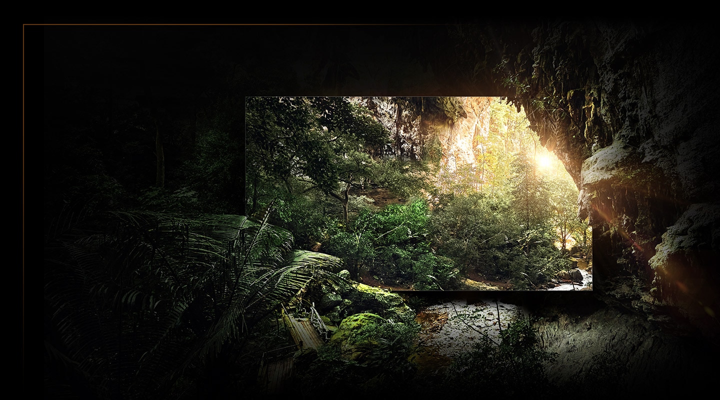 MICRO LED is placed inside a forest and showing a picture of a forest scene which looks indistinguishable from the forest itself.