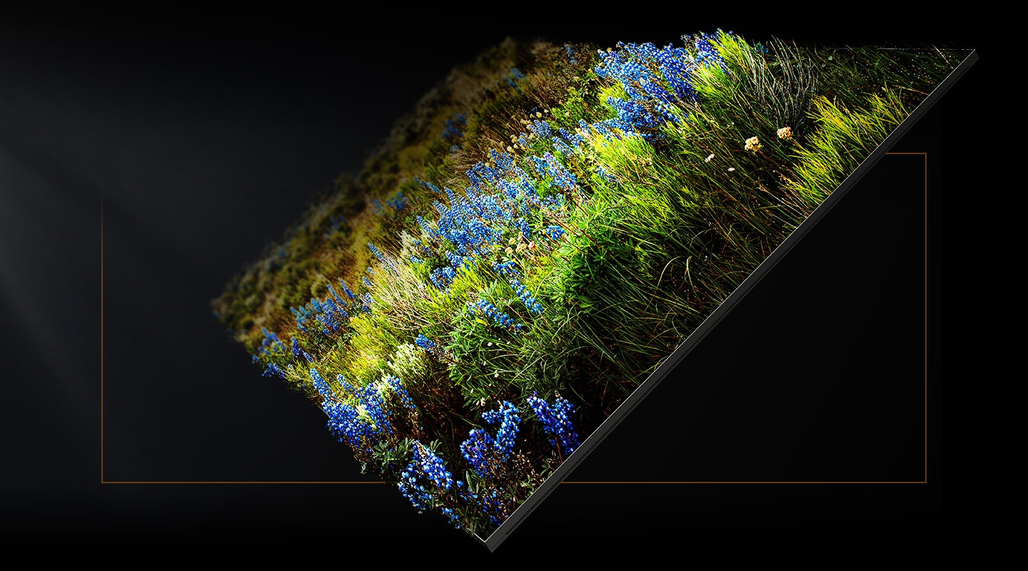 Colorful flowers are growing from a MICRO LED module to simulate authentic color representation.