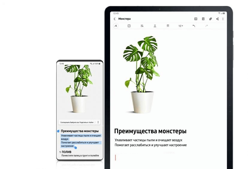 Смартфон Galaxy и устройство Galaxy Tab S6 Lite изображены рядом друг с другом. На экране смартфона отображается изображение растения с выделенным текстом под землей. Это же изображение и текст отображаются в заметке в приложении Samsung Notes на экране устройства Galaxy Tab S6 Lite, чтобы показать, что содержимое было скопировано со смартфона на планшет при синхронизации двух устройств.