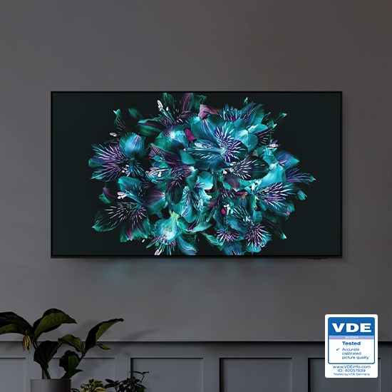 На экране телевизора отображается красочный цветочный узор. Цветовые детали цветка очень яркие. Протестировано VDE 01/2024 Точное калиброванное качество изображения www.VDEiinfo.com ID. 40057839 Протестировано VDE Germany.