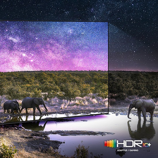 Слоны гуляют по широкому полю. Сцена после применения технологии HDR 10+ ADAPTIVE/GAMING стала намного ярче и четче, чем версия SDR.