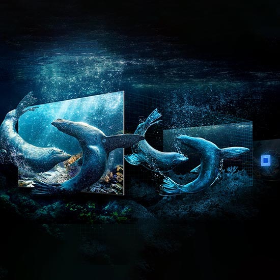 Процессор сзади проецирует изображение двух китов, которое выглядит на экране в 3D.