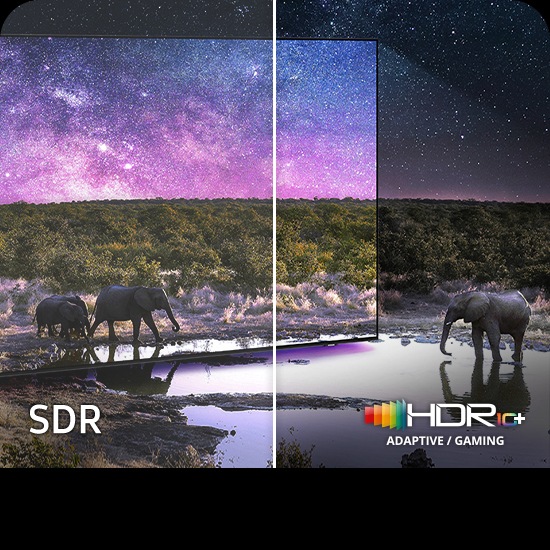 Слоны гуляют по широкому полю. Сцена после применения технологии HDR 10+ ADAPTIVE/GAMING стала намного ярче и четче, чем в версии SDR.