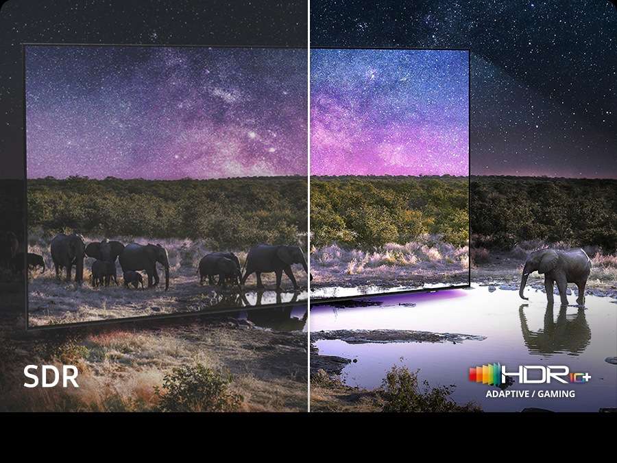 Слоны гуляют по широкому полю. Сцена после применения технологии HDR 10+ ADAPTIVE/GAMING стала намного ярче и четче, чем в версии SDR.