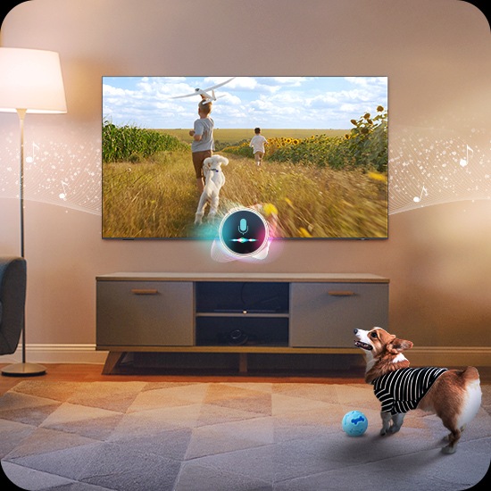 Собака лает в гостиной. Микрофон, подключенный к телевизору, улавливает шум. В ответ на шум телевизор показывает сцену, в которой два мальчика и щенок бегут по полю подсолнухов, чтобы успокоить лающую собаку.