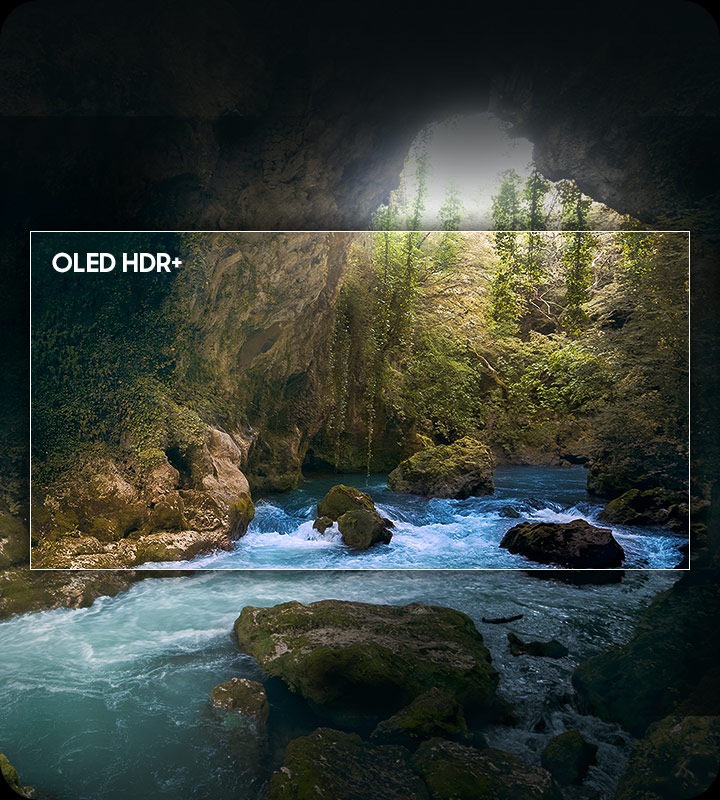 Сцена на природе выделена в центре в контуре телевизионного экрана, демонстрируя, как «OLED HDR+» раскрывает яркие блики и скрытые детали в сцене.