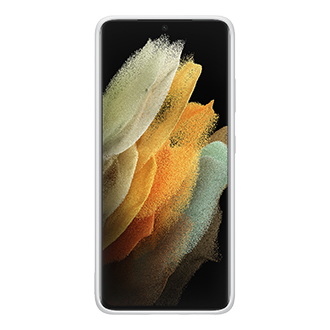 back Light Gray