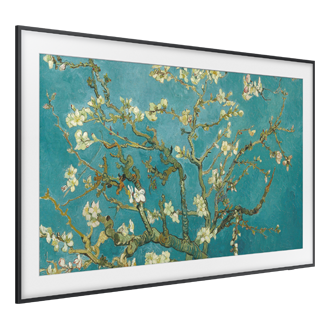 l-perspective3 Black