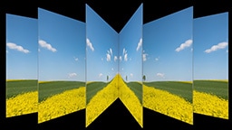 One Neo QLED screen with sunny prairie scene is spread into a fan-like pattern, showing unchanged picture quality from any angle.