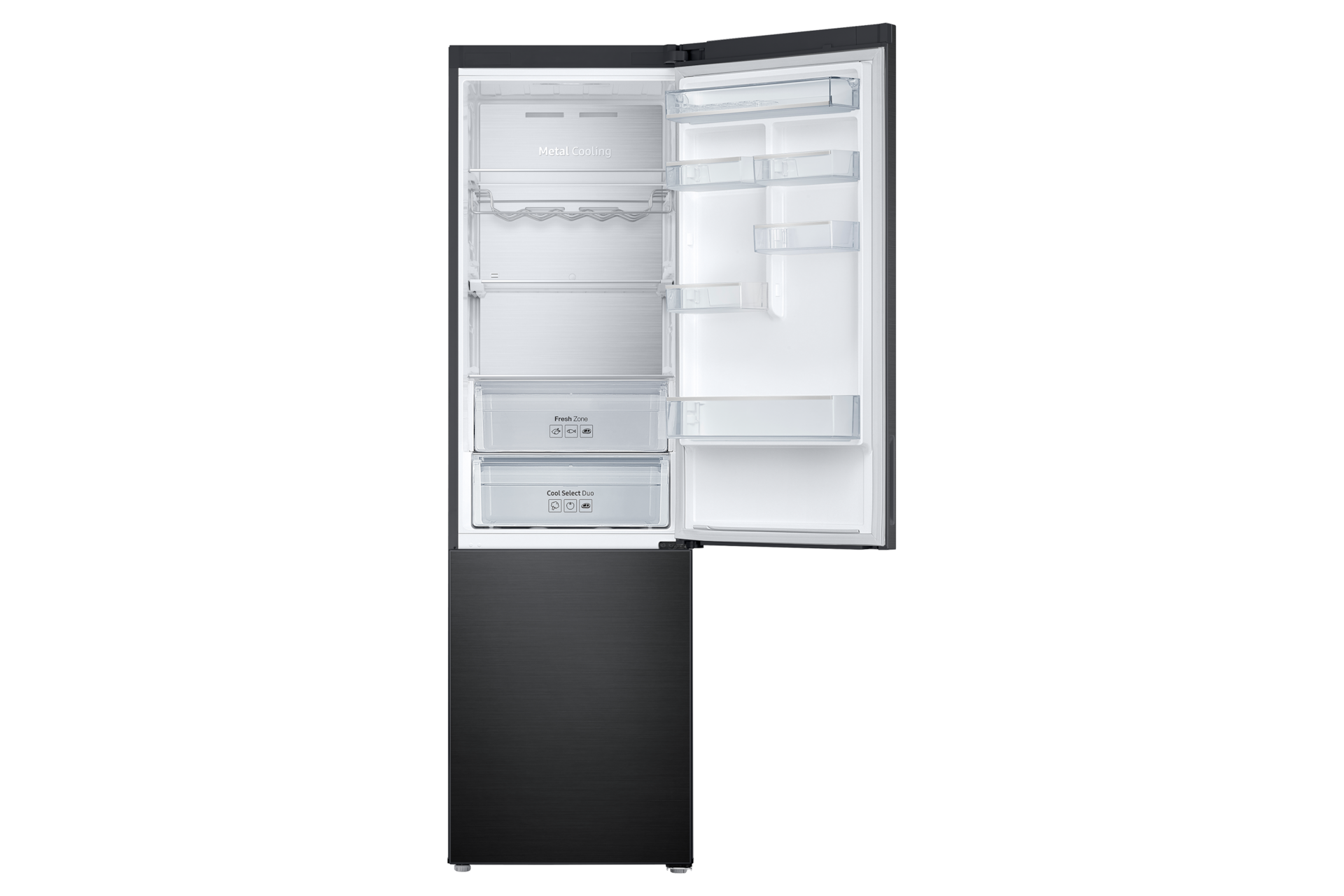 dynamic2 Black