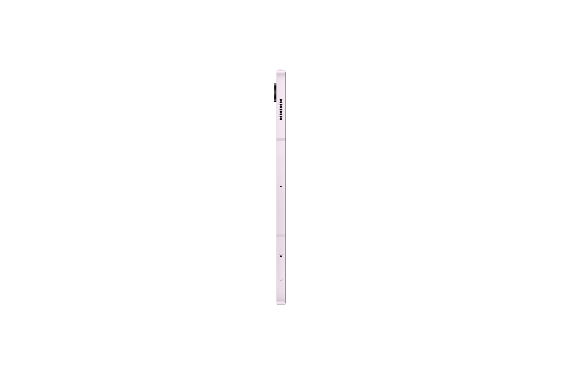 l-side Lavender