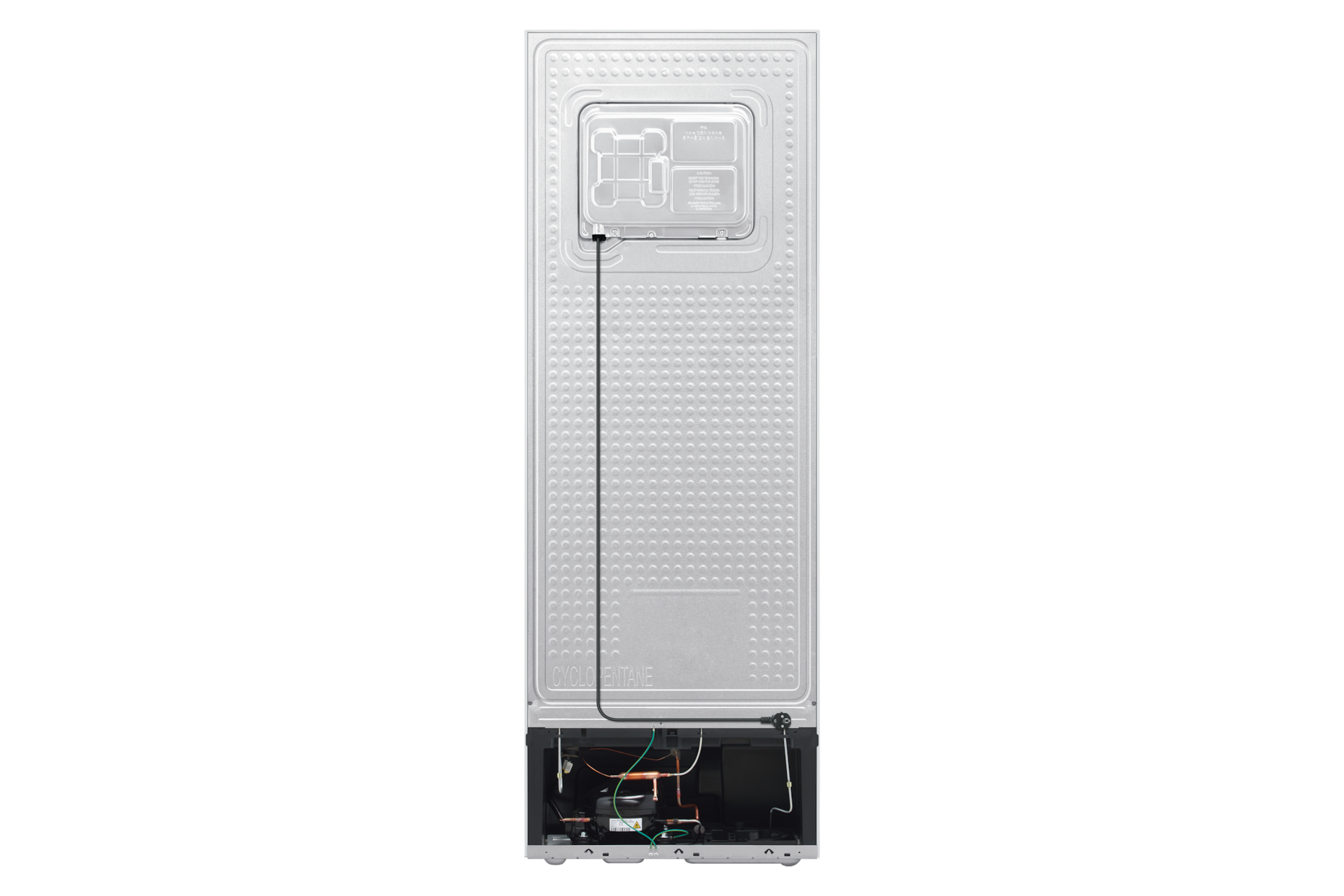 back White