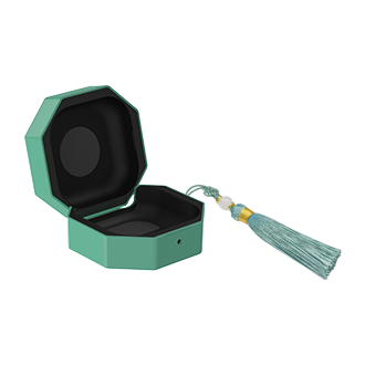 Galaxy Buds4 | Buds4 Pro Heritage Case FrontOpen Green 