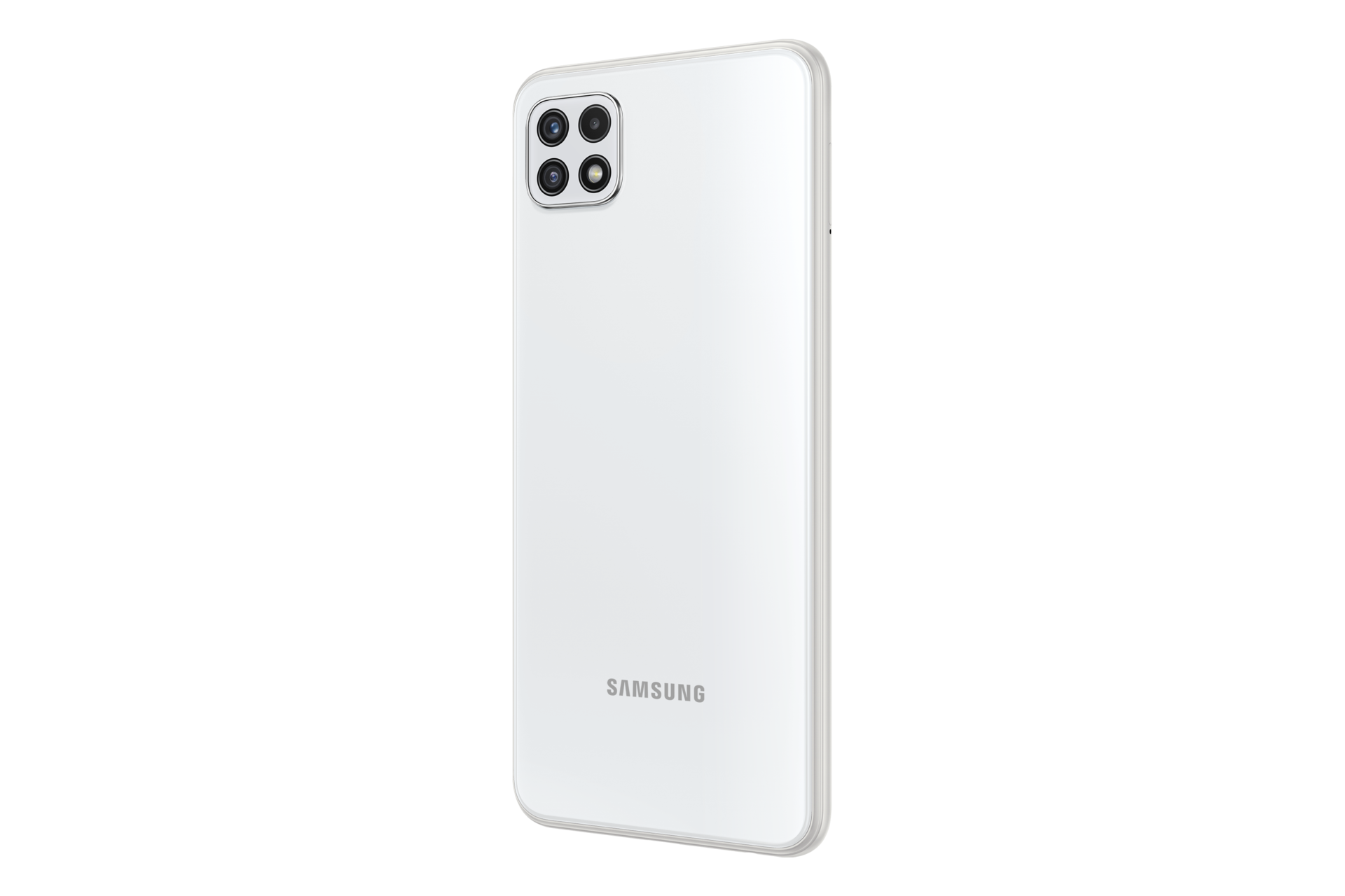 back-r30 White
