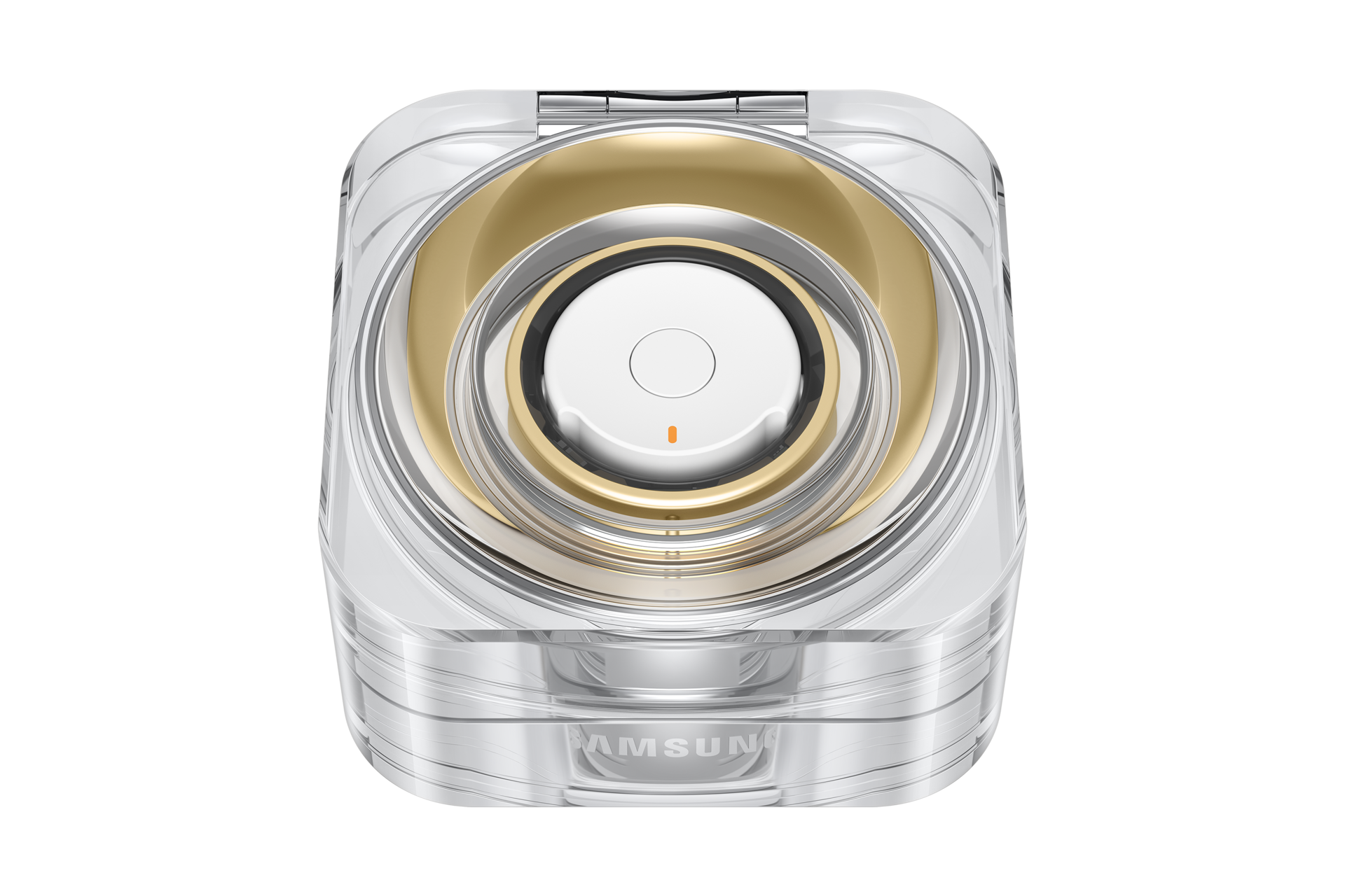charging-case-closed-w--ring Titanium Gold