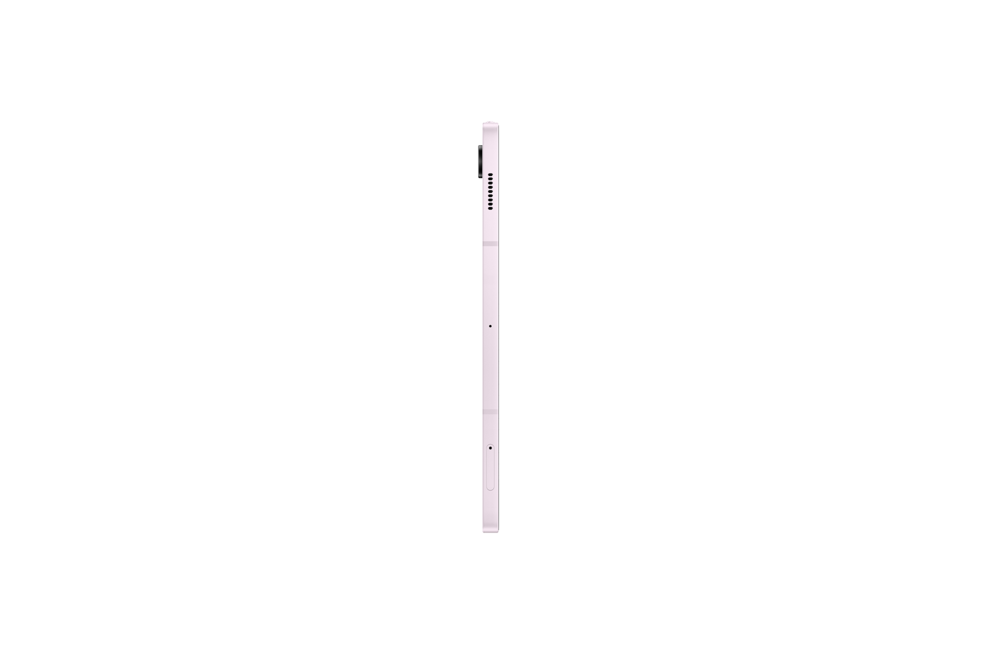 l-side Lavender
