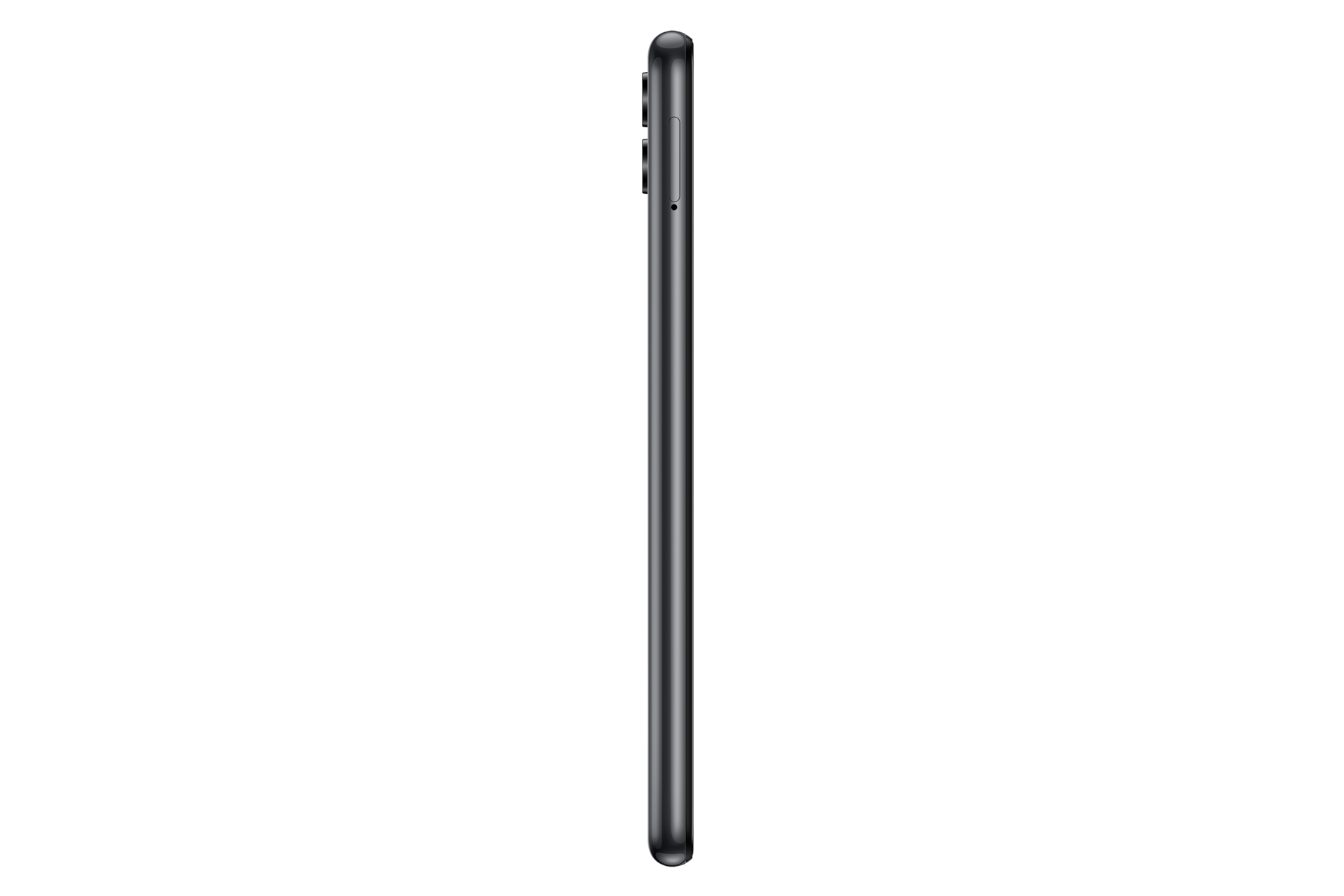 side-l Black Beauty