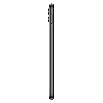 side-l Black Beauty