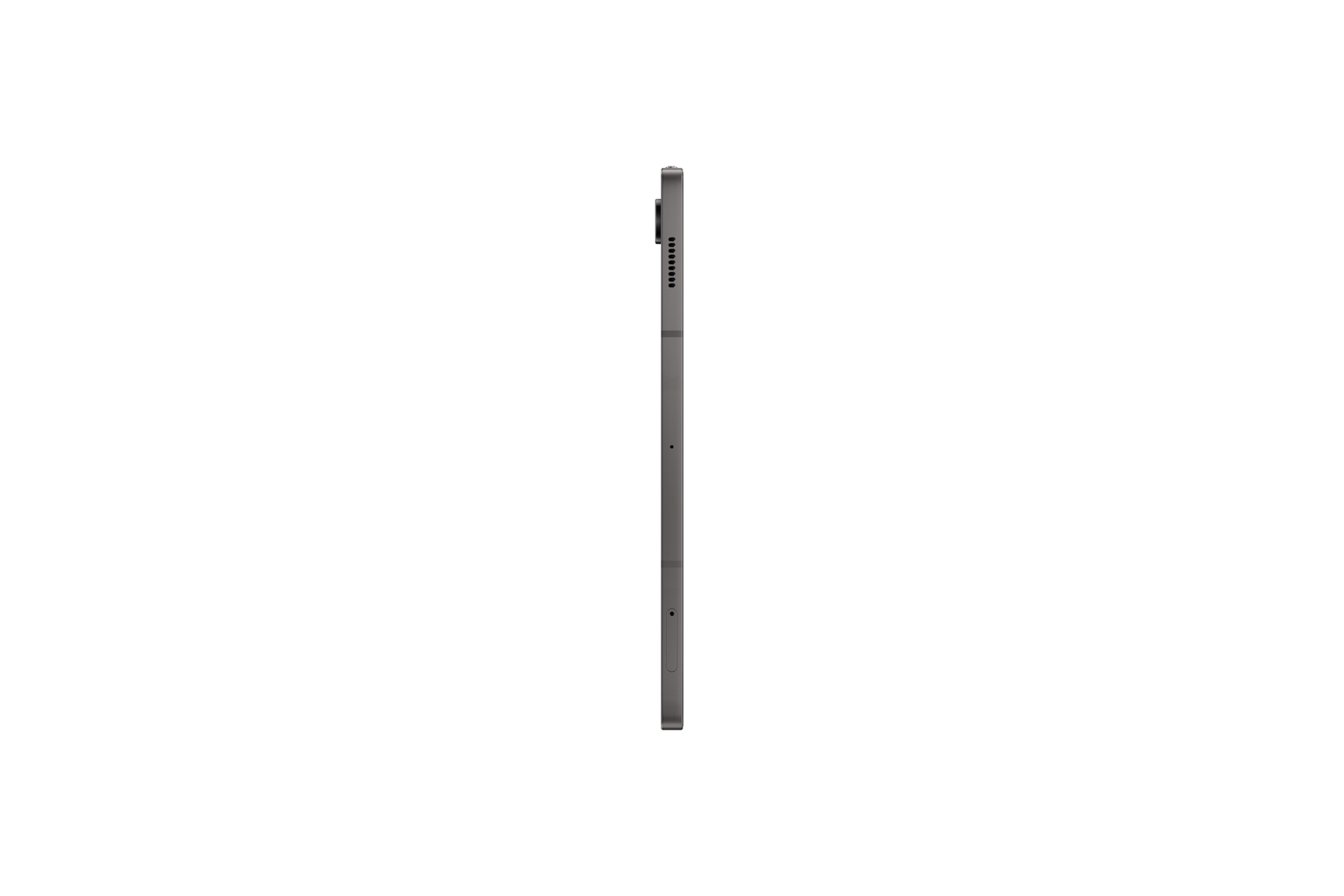 l-side Gray