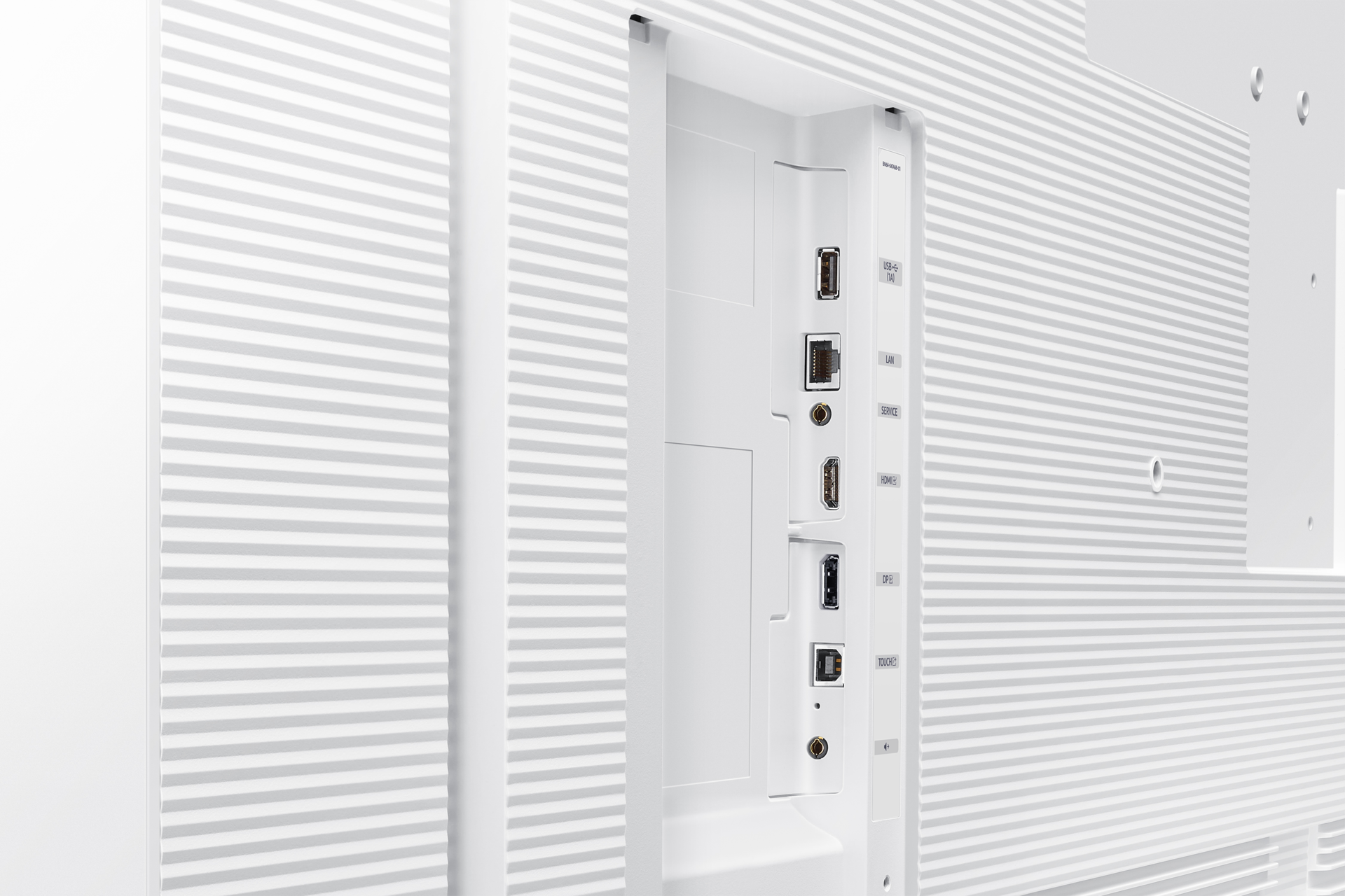 [báck~-détá~íl2 Wh~íté]