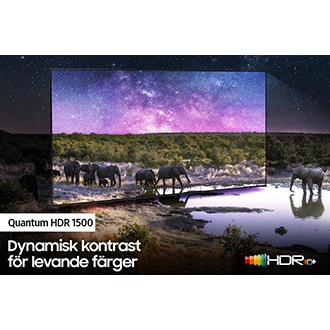 QLED TV QN85A med Quantum HDR 1500 kan avslöja de minsta detaljerna i i bilden