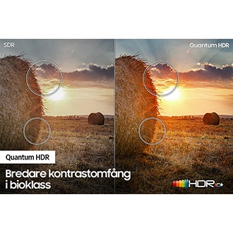 QLED TV Q60A visar SDR och Quantum HDR för en jämförelse av de minsta detaljerna