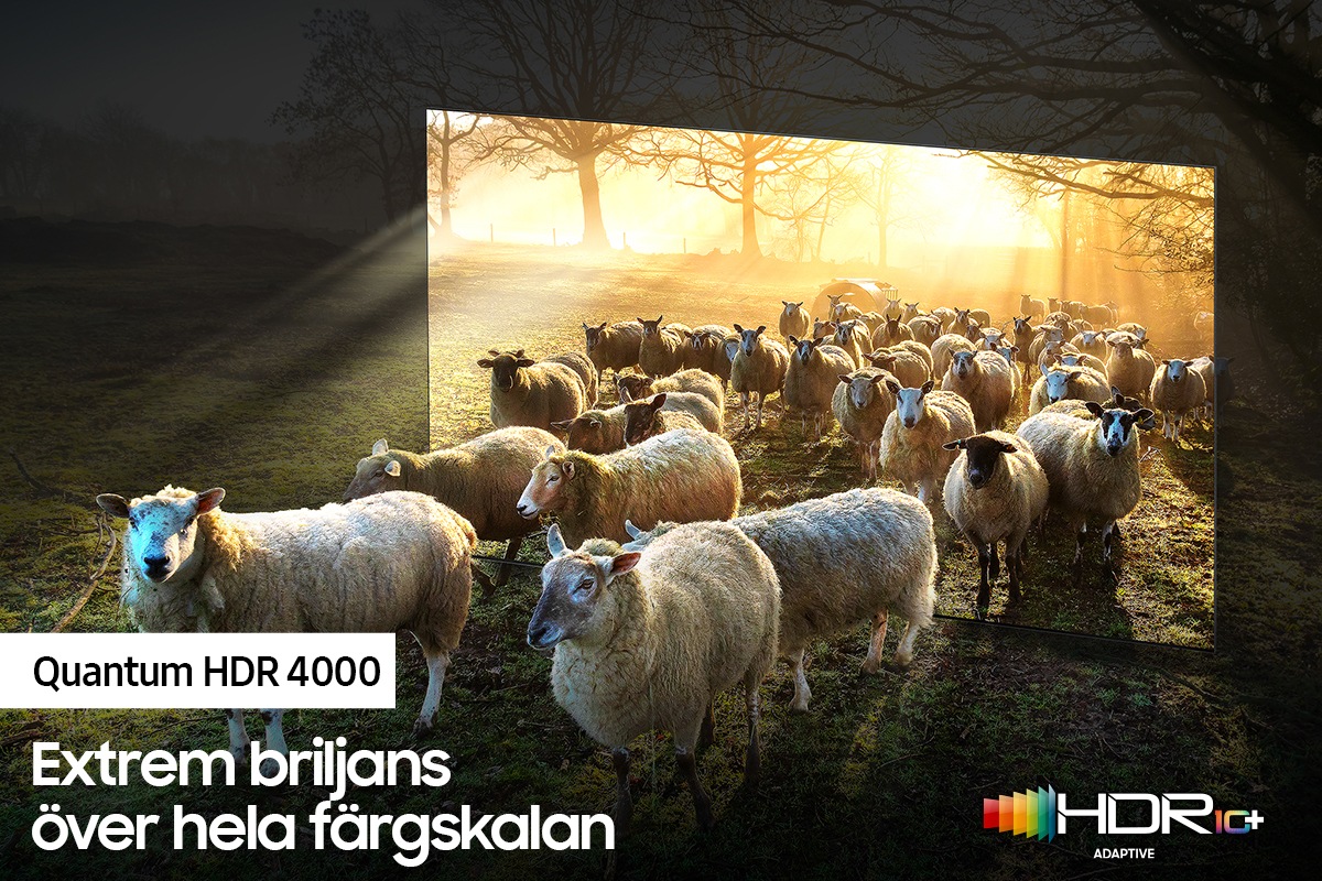 QLED TV QN900A med Quantum HDR 4000 kan avslöja de minsta detaljerna i i bilden