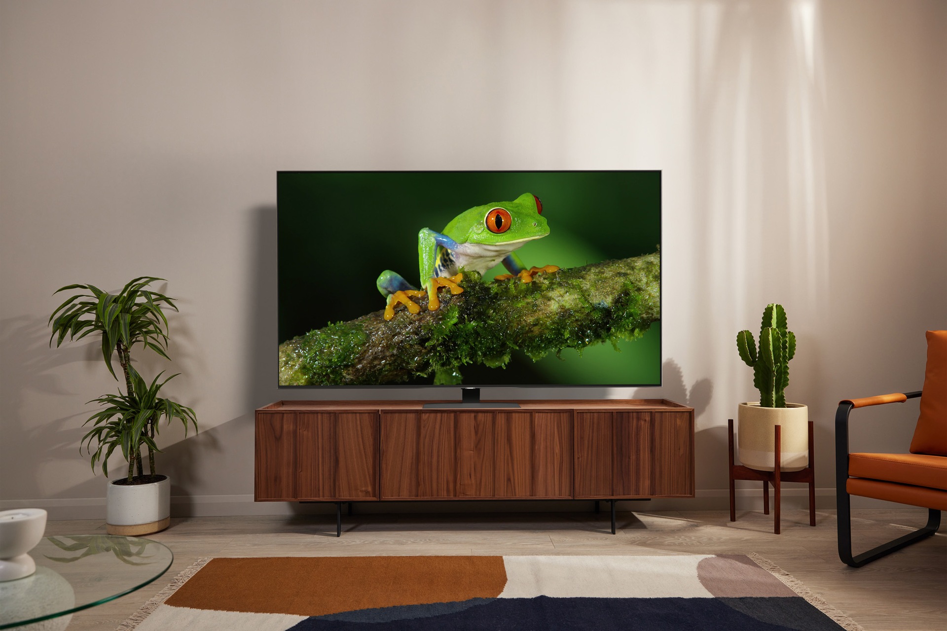 Q80B QLED TV Lifestyle Feature Image 3 Low Res jpeg