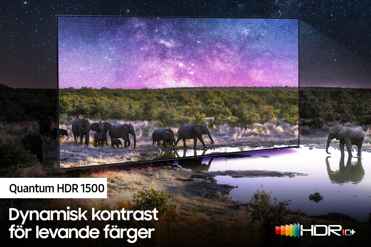 QLED TV QN85A med Quantum HDR 1500 kan avslöja de minsta detaljerna i i bilden