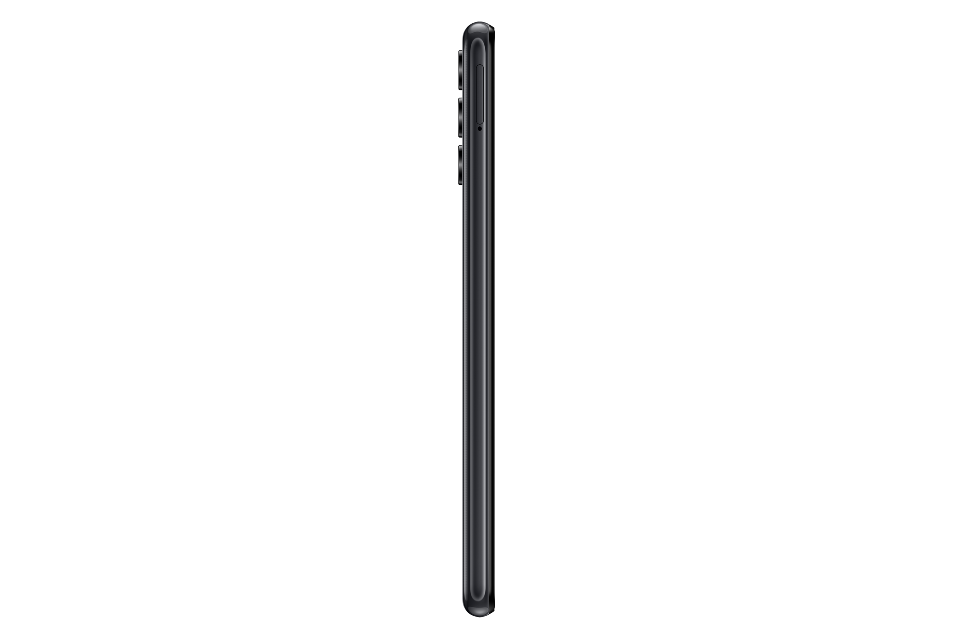 l-side Black Beauty