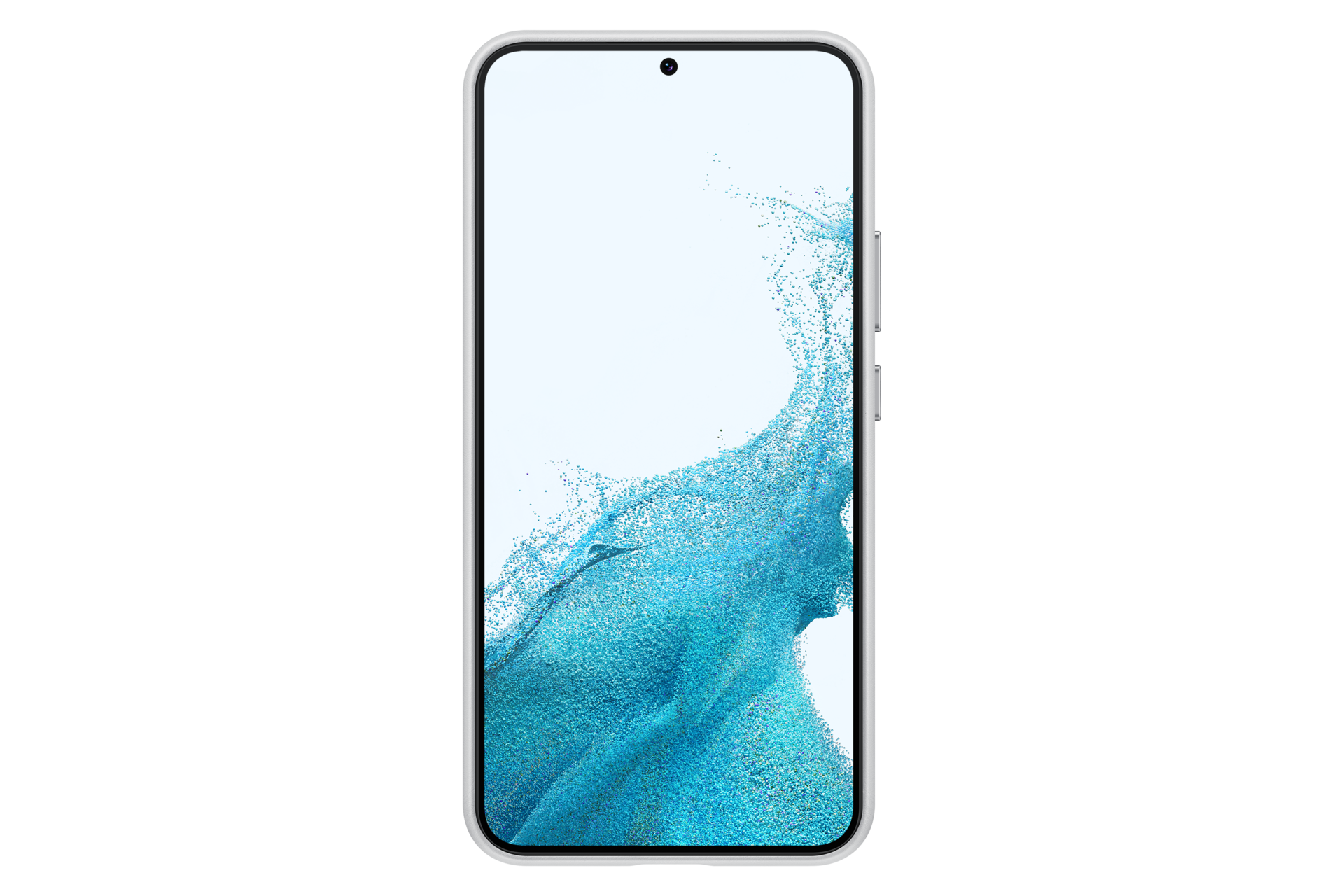 back Light Gray