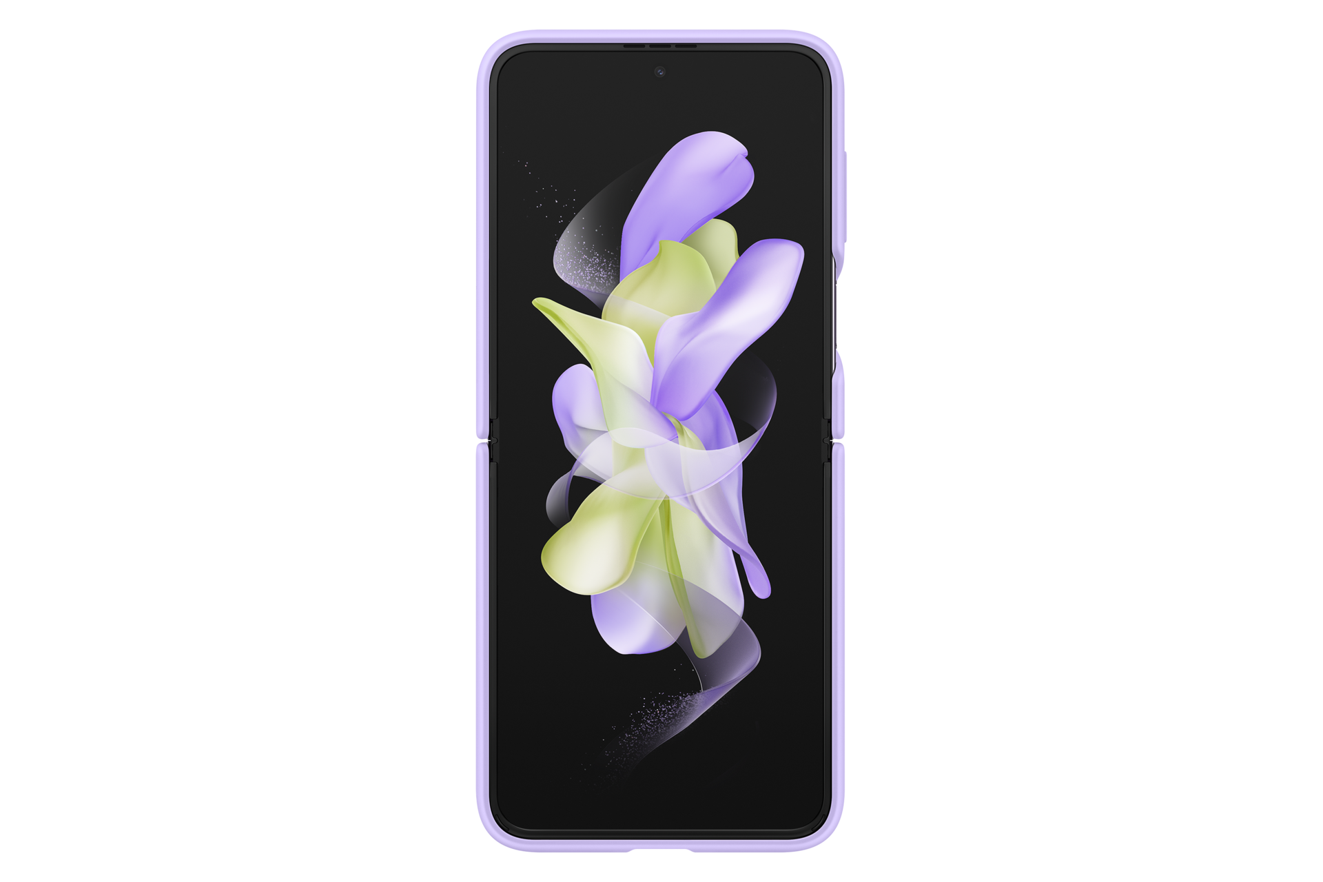 front-2 Bora Purple